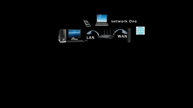 Networking and NDI animation
